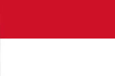 SEND MONEY FROM INDIA TO INDONESIA