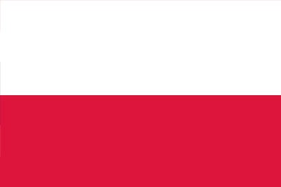 SEND MONEY IMMEDIATELY FROM INDIA TO POLAND